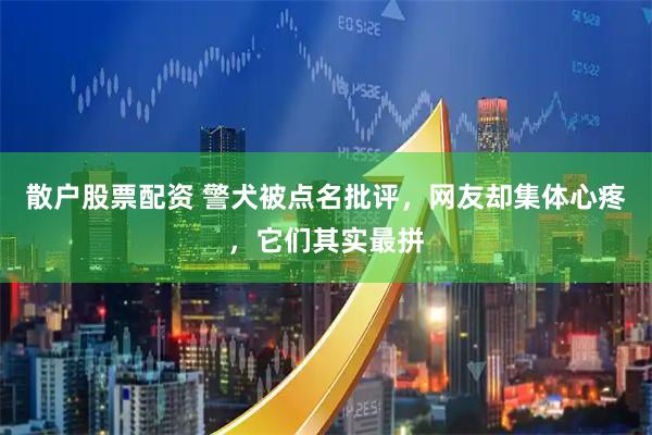散户股票配资 警犬被点名批评，网友却集体心疼，它们其实最拼
