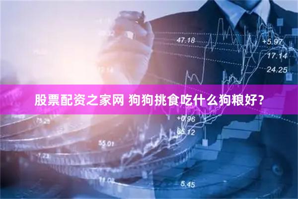 股票配资之家网 狗狗挑食吃什么狗粮好？