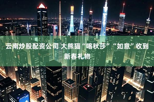 云南炒股配资公司 大熊猫“喀秋莎”“如意”收到新春礼物